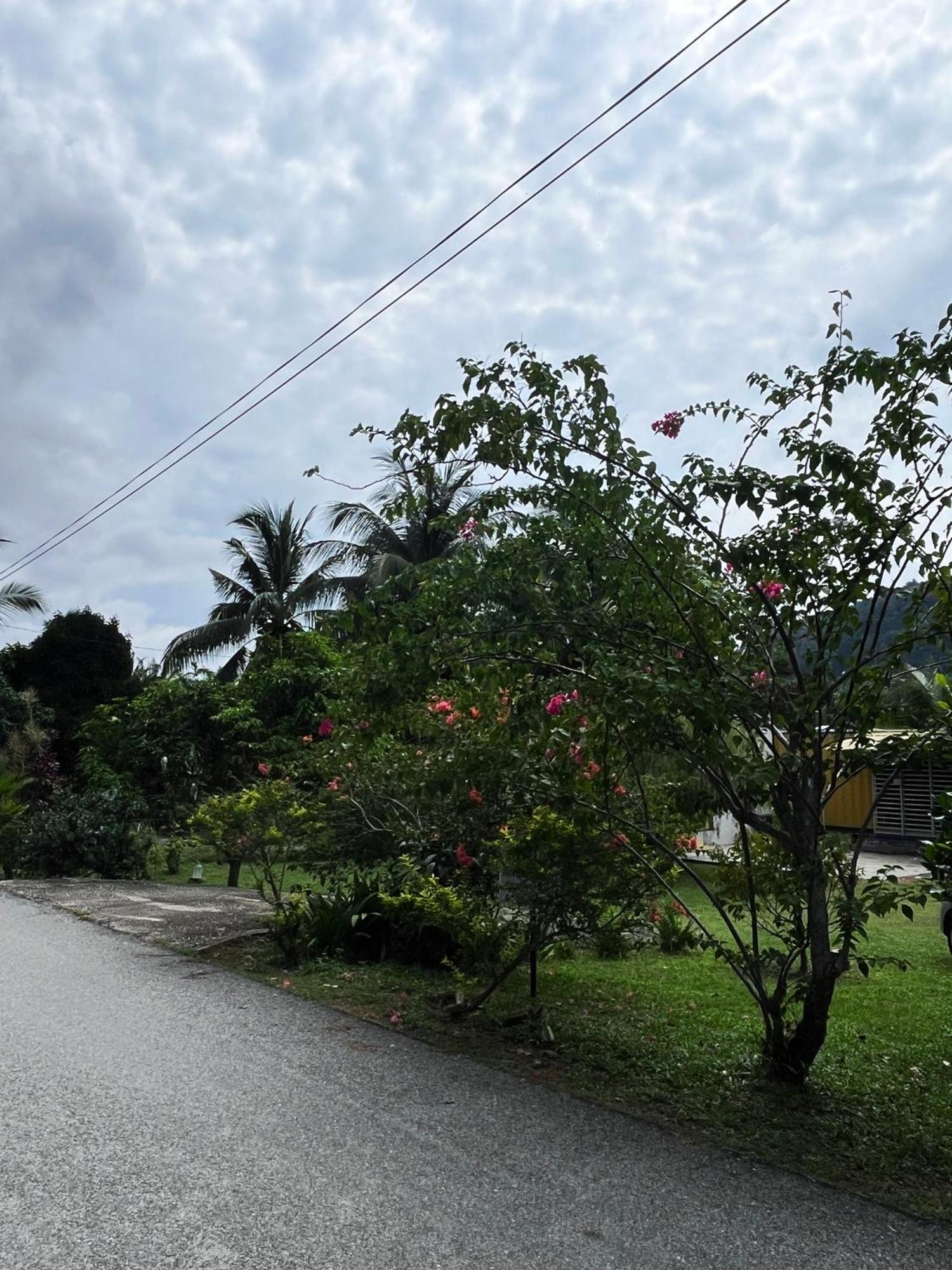 Purple Cube At Lumut Cube Homestay Kontena Buitenkant foto