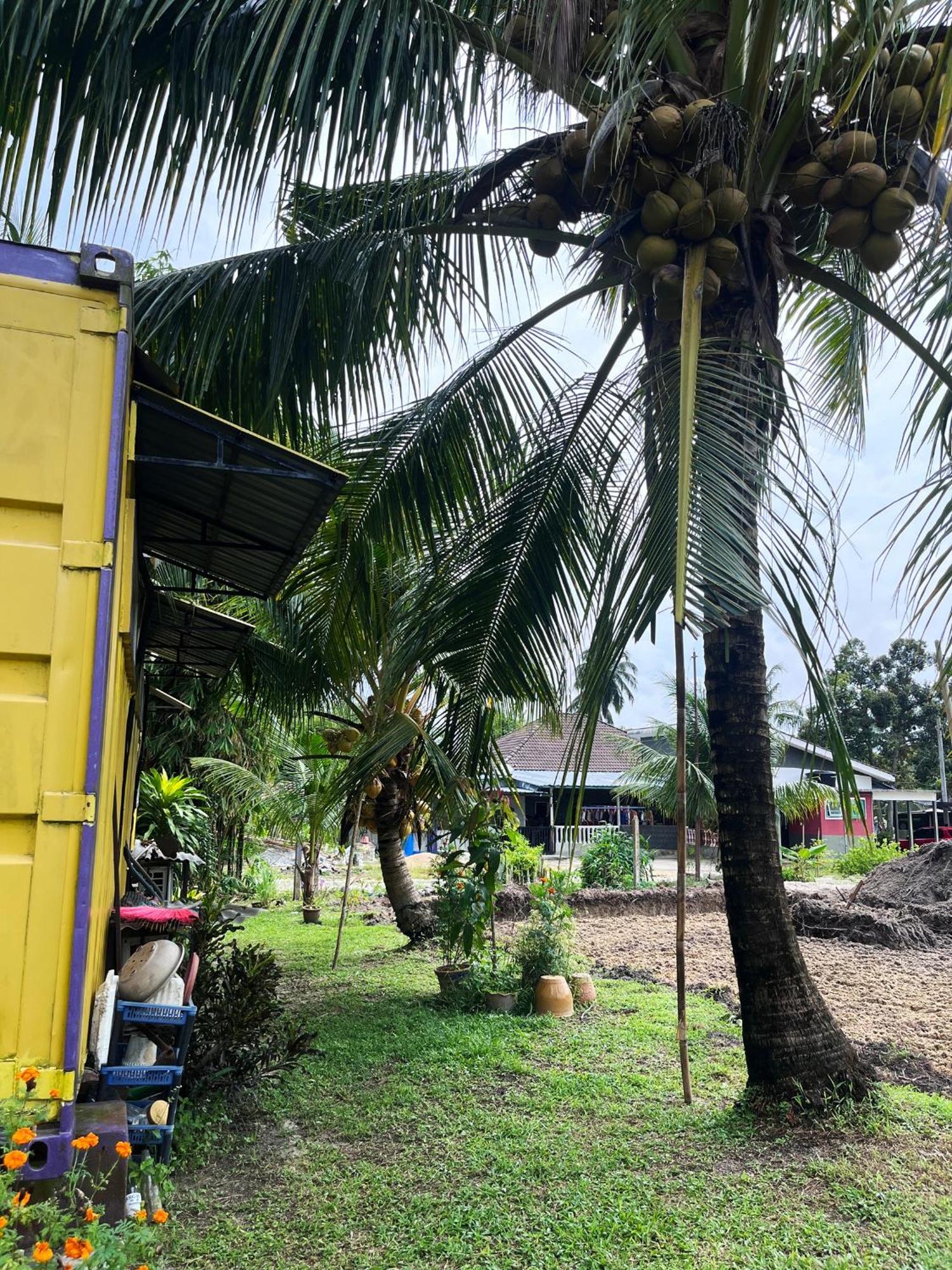 Purple Cube At Lumut Cube Homestay Kontena Buitenkant foto